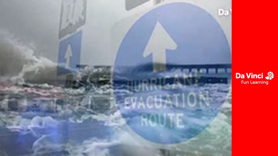 Дослідження: «Дивовижна планета» - Домівки тварин