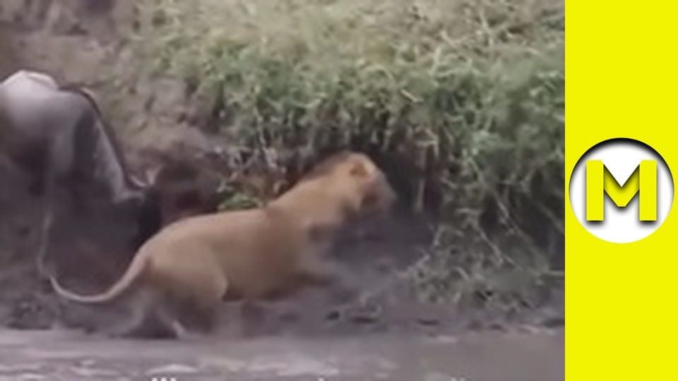 Max TV - сезон 1 - серія 3