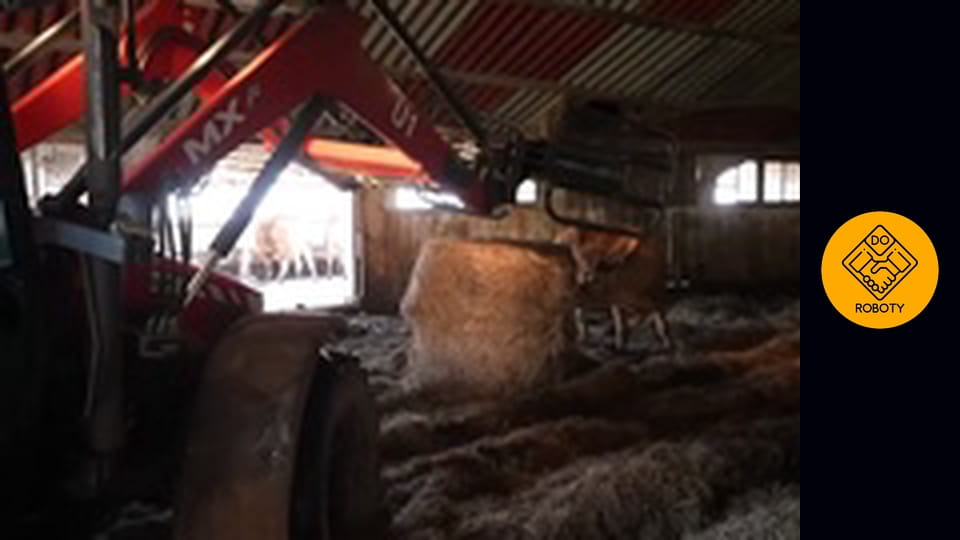 PRACA W BIESZCZADZKIM ROLNICTWIE * hodowla krów * uprawa pól *