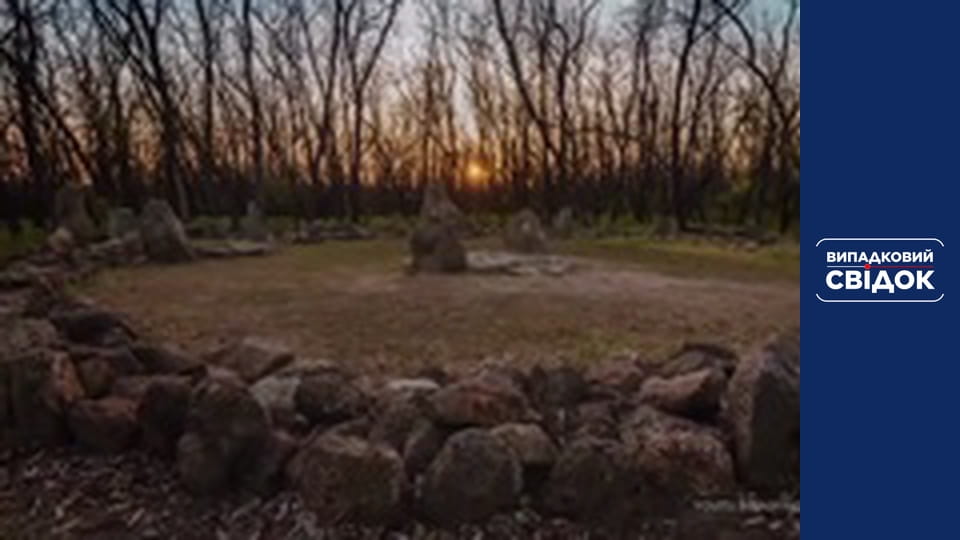 Випадковий свідок, Випуск 333