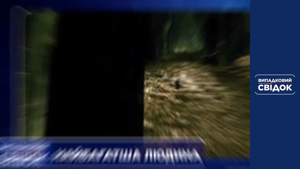 Випадковий свідок, Випуск 247