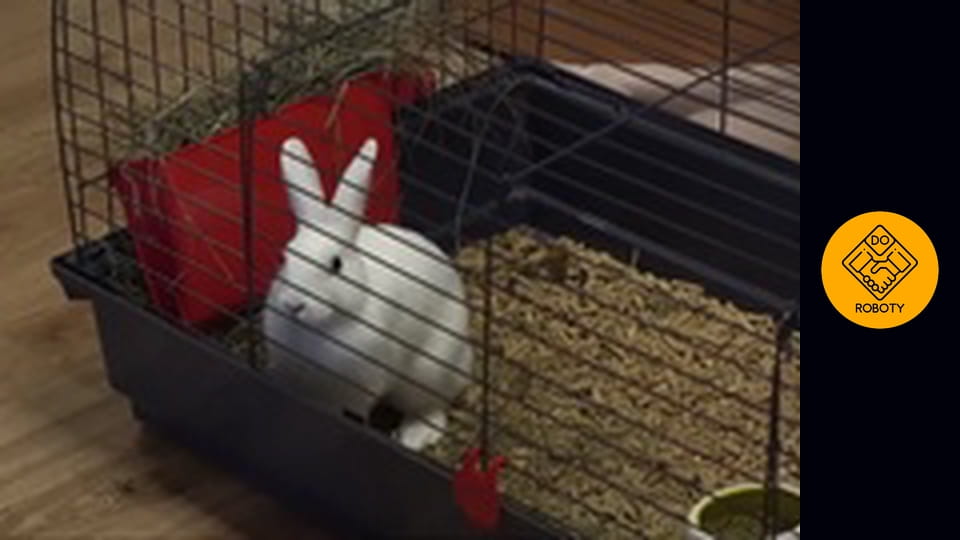 PRACOWAŁEM JAKO KURIER