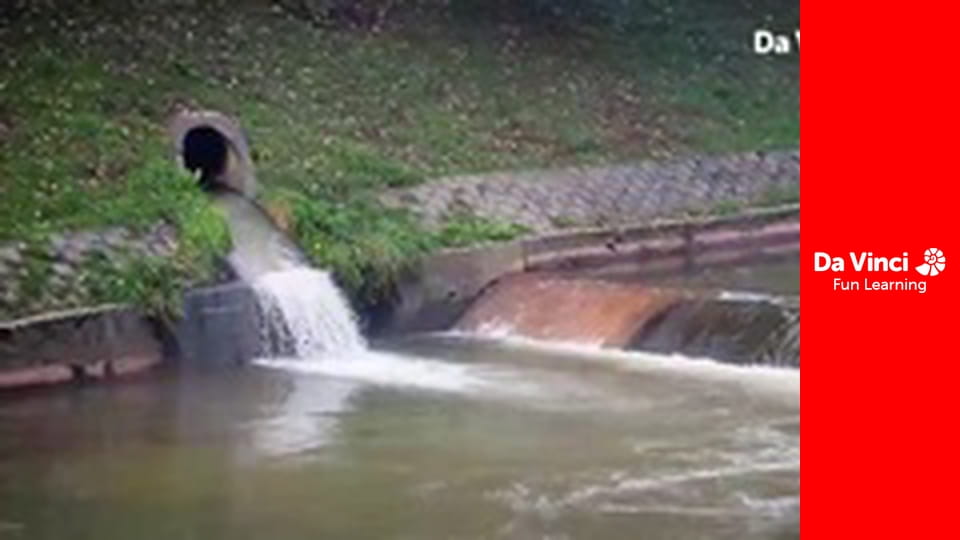 Дослідження: «Дивовижна планета» - Домівки тварин