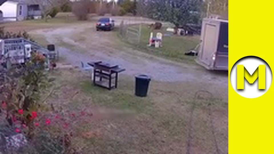 TOP (Max TV) - сезон 3 - серія 17