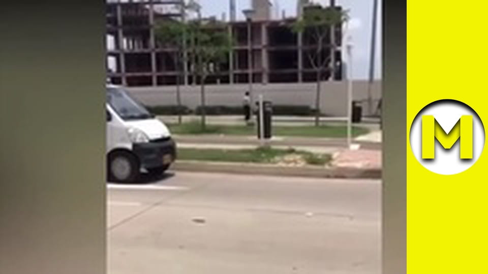 Max TV - сезон 2 - серія 11