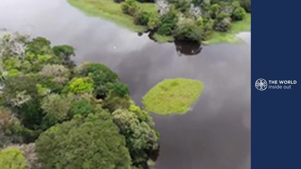 Extreme fishing and victims of pirates. Brazil.