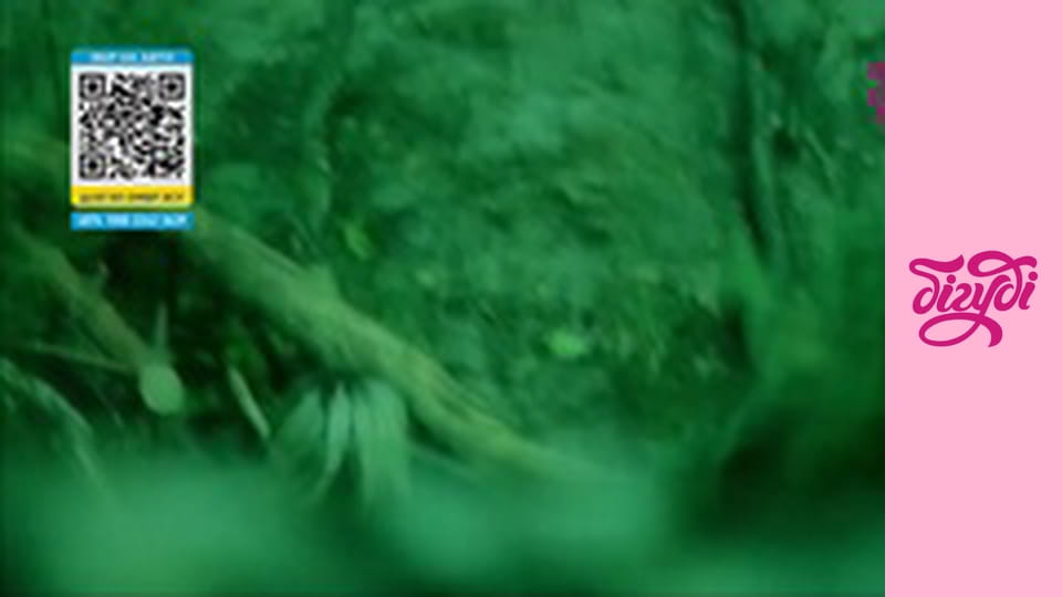 Т/с "Щоденники Темного", 28 с.