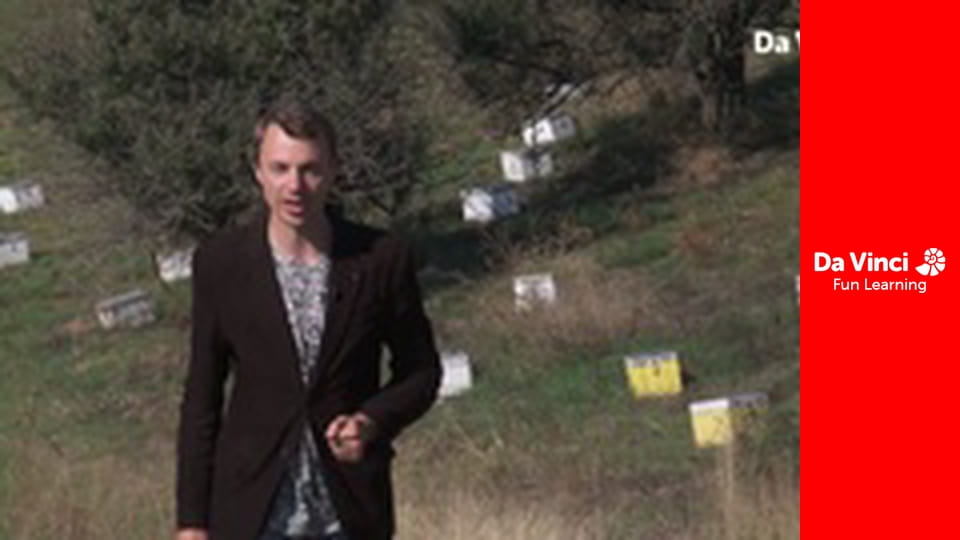 Футуріс - Глобальні спостереження