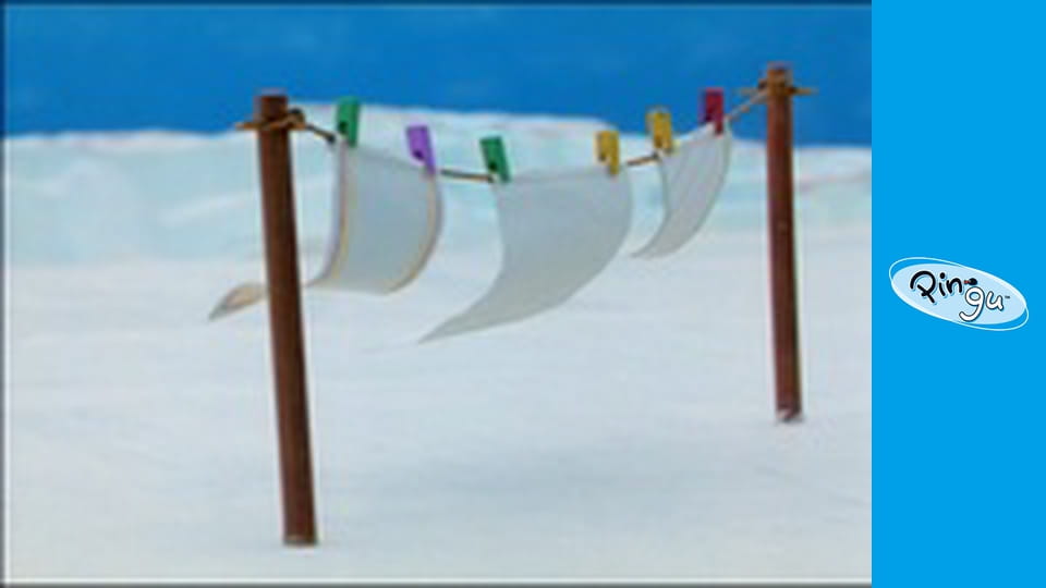 The Pingu Show Сезон 1 Епізод 64