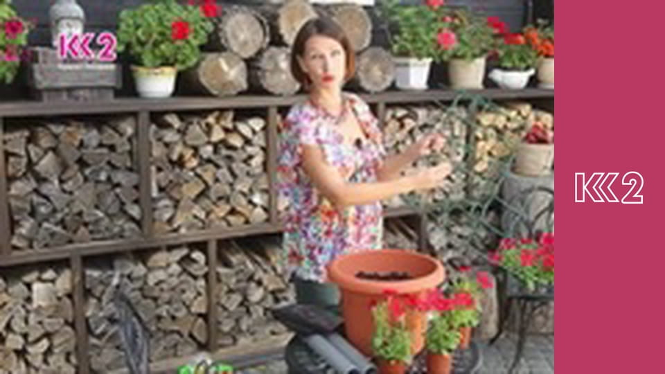 Удачний проект S4E35