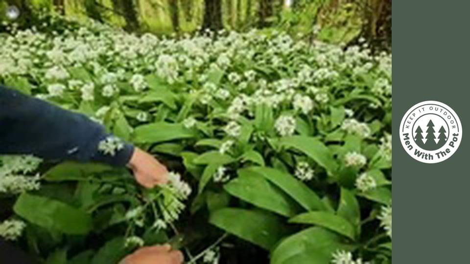 THE BEST CAMPFIRE BREAKFAST: Pro Level Bagel
