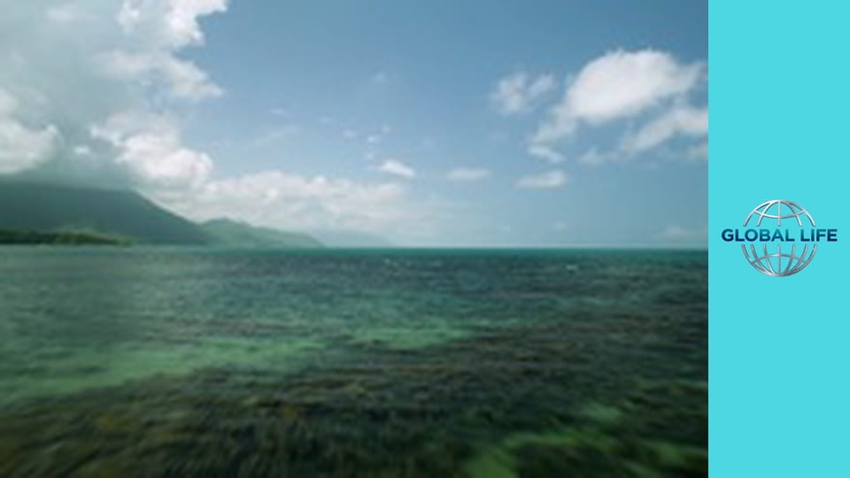 Большой барьерный риф: Живое сокровище Сезон 1 Эпизод 3