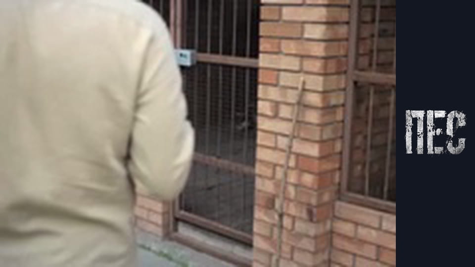 Пес, Сезон 6, Серія 16