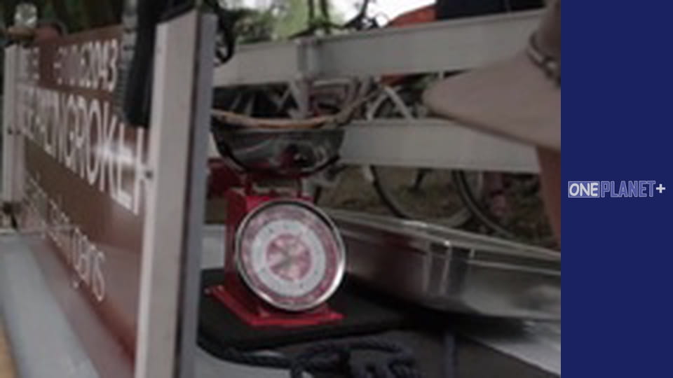 На Власні Очі. - серия 8