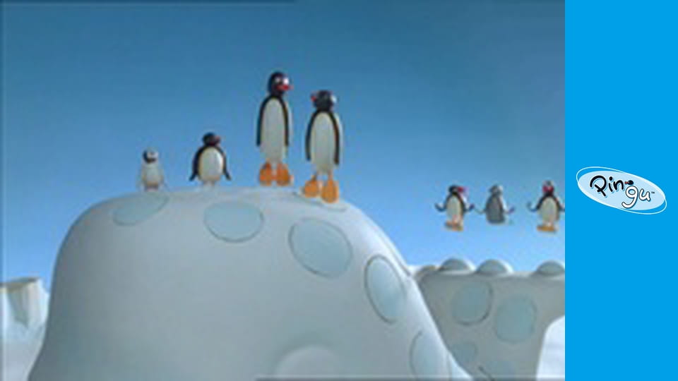 The Pingu Show Sezon 1 Odcinek 17