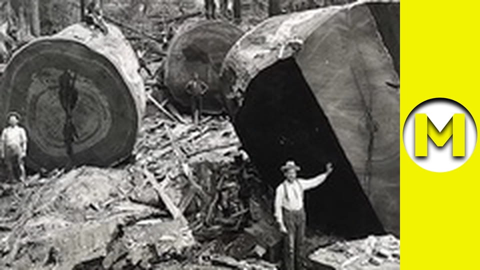 Max TV - сезон 1 - серия 73