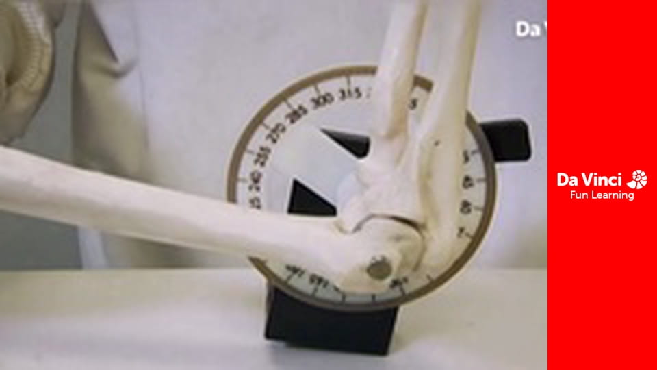 Пошук надлюдини - Біонічні люди