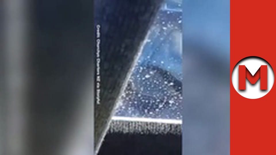 Max TV - сезон 5 - серія 56