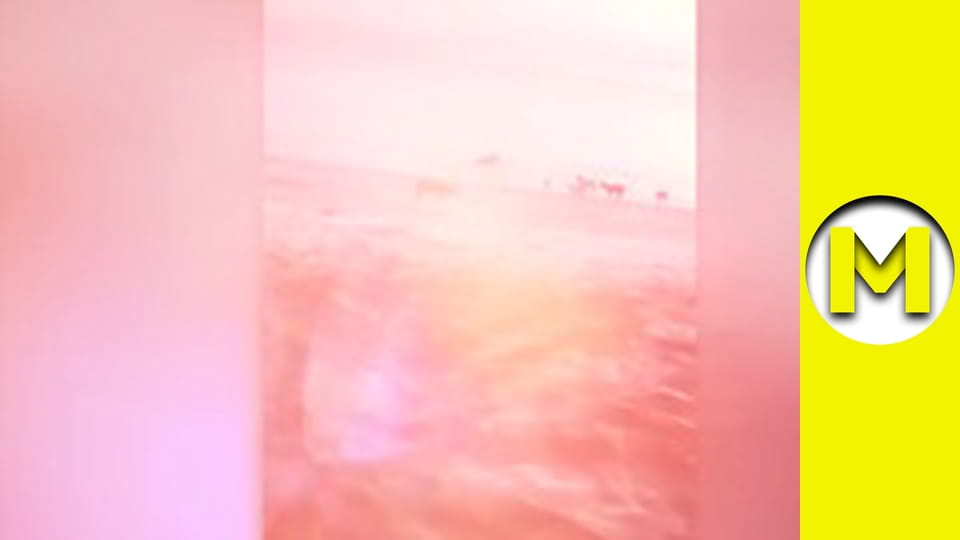 Max TV - сезон 6 - серія 14