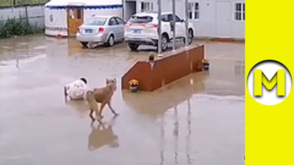 Max TV - сезон 1 - серія 62