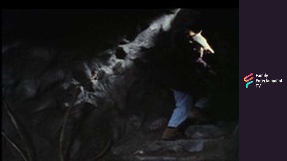 Island of Adventure Part 2