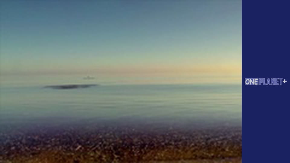 Дістатися до Зірок. - серия 3