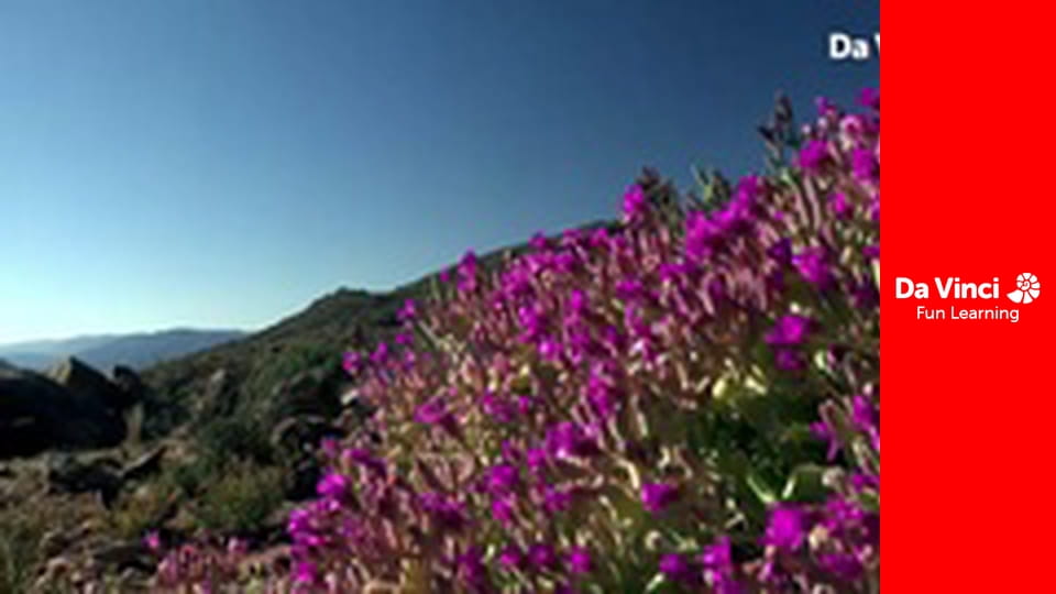 Сияя - Отправьтесь с нами - По следу Великой змеи - Часть 3: Образуя глубокие следы