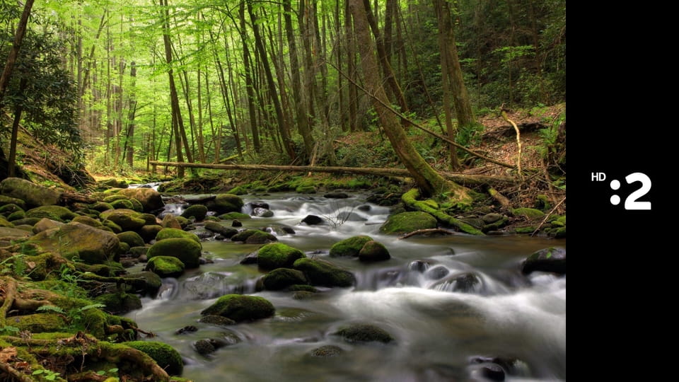 Symbióza v prírode S1E2 - Mokrade