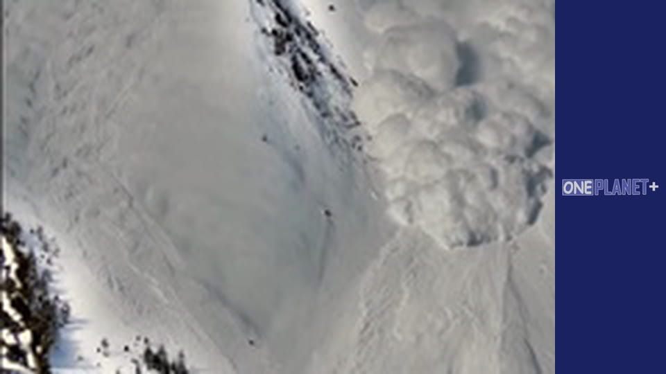 В поисках знаний. - cерия 23