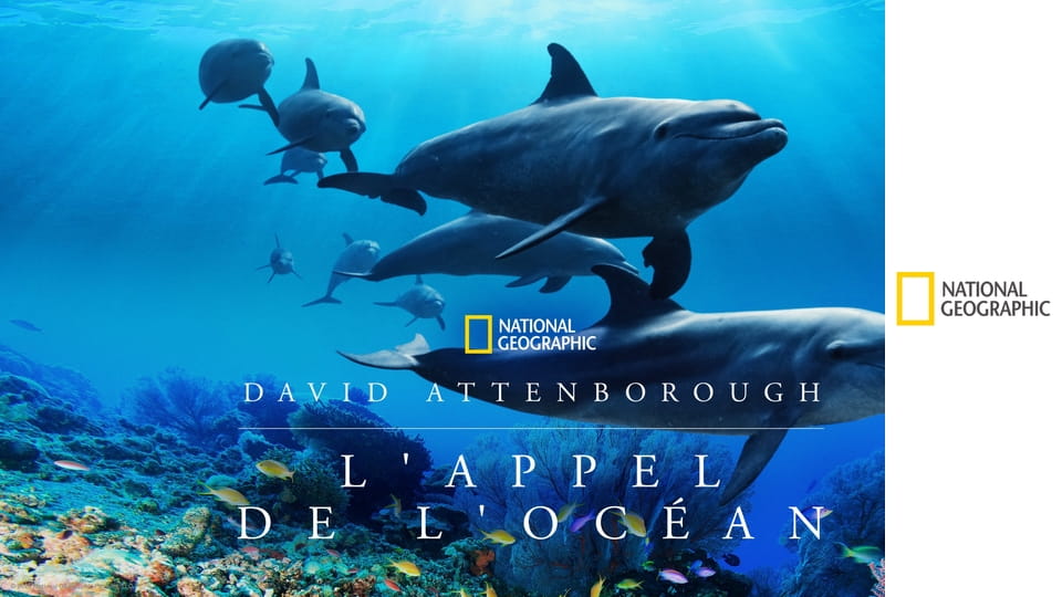 Океан с Дэвидом Аттенборо E1