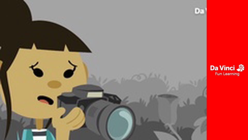 Інноваційні лабораторії да Вінчі - Виявлення кольору