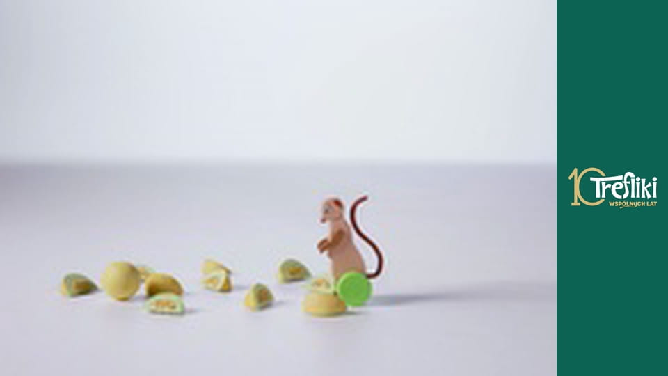 Bobaski i Miś Сезон 5 Епізод 24