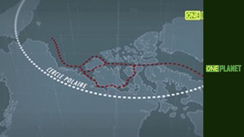 Пересечь Арктику за 62 дня.