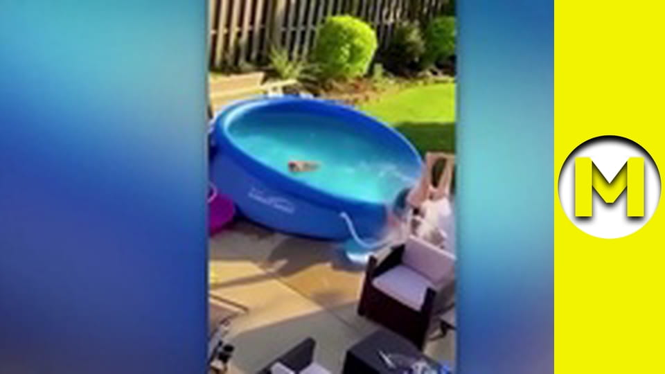 TOP (Max TV) - сезон 3 - серия 25