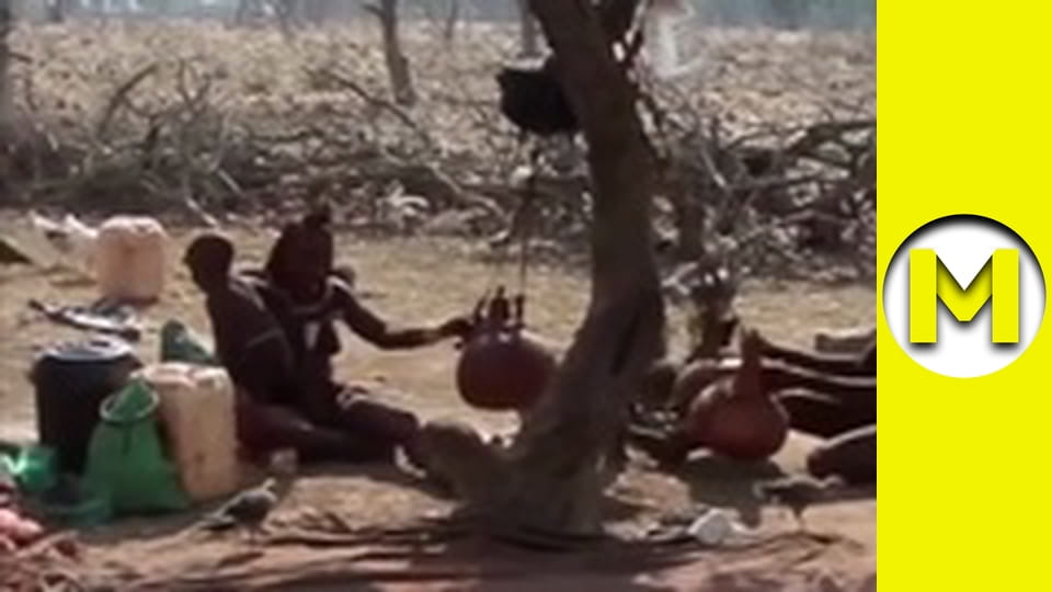 Max TV - сезон 1 - серія 131