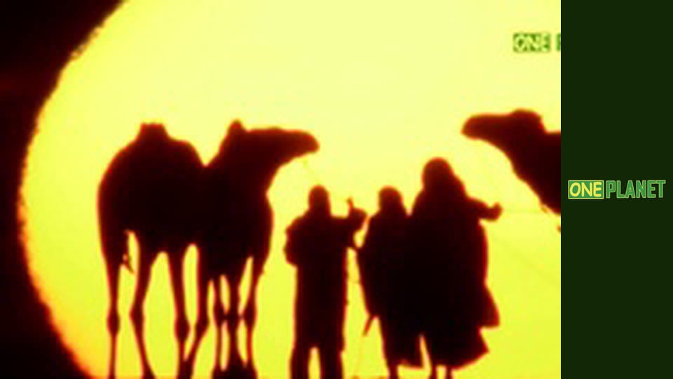 Путешествия по городам с историей, 11 эп. Токио, Япония. Город будущего.