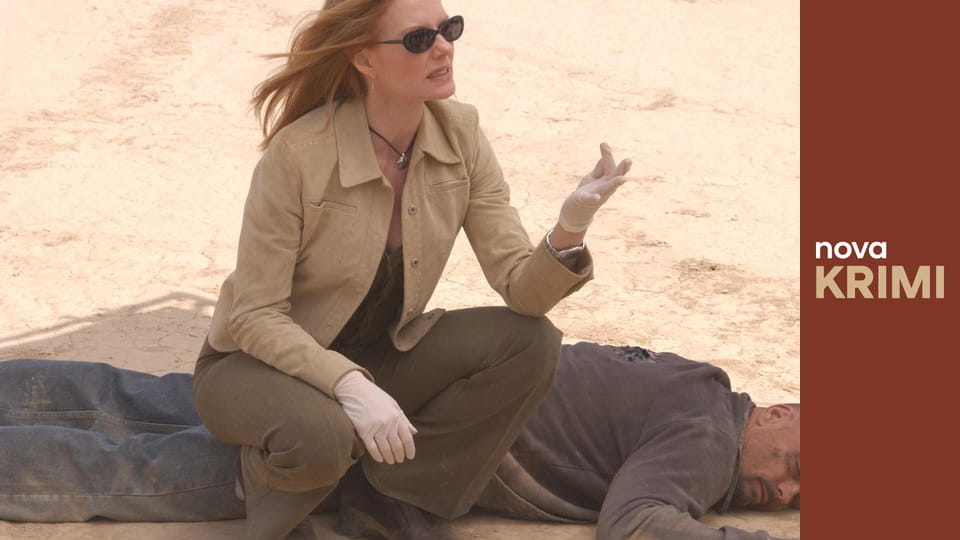 Kriminálka Las Vegas S3E13 - Náhodné násilí