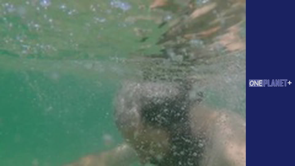 Собственными глазами. - cерия 10