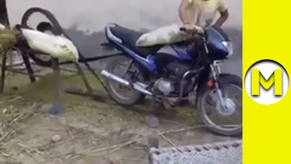 Max TV - сезон 1 - серія 137