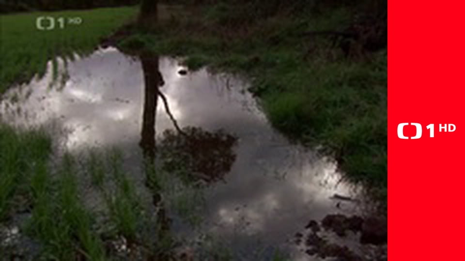 Na cestě - po Bretani