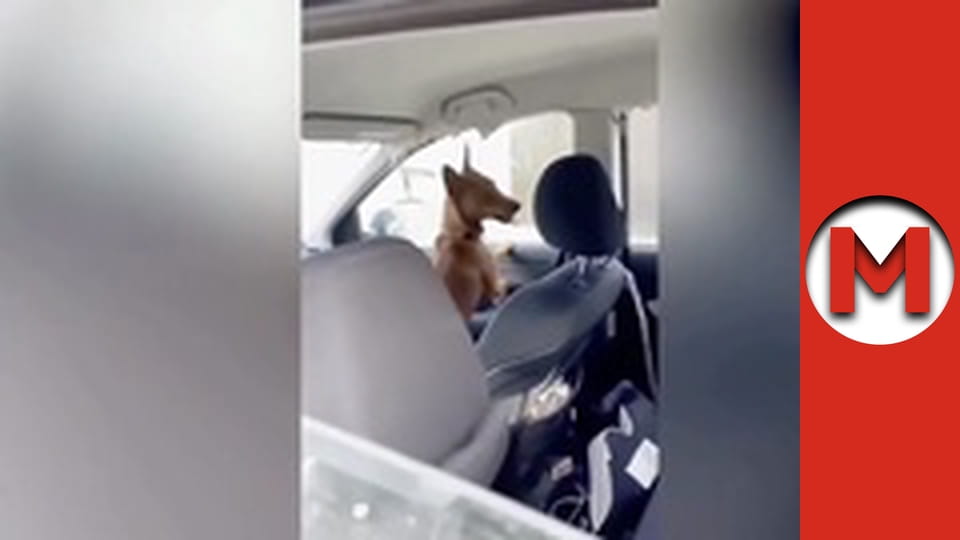 "Макс ТОП" сезон 1 серия 79