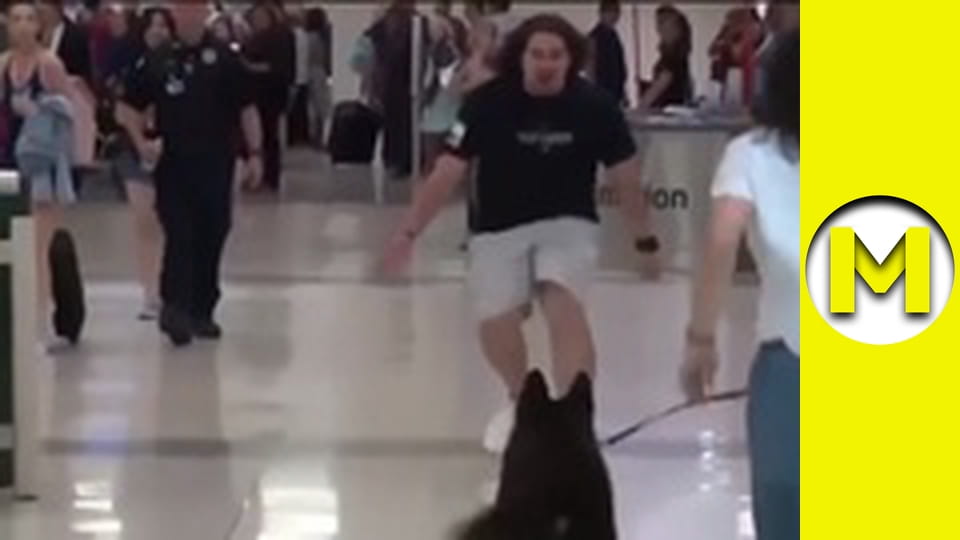 Max TV - сезон 1 - серія 141