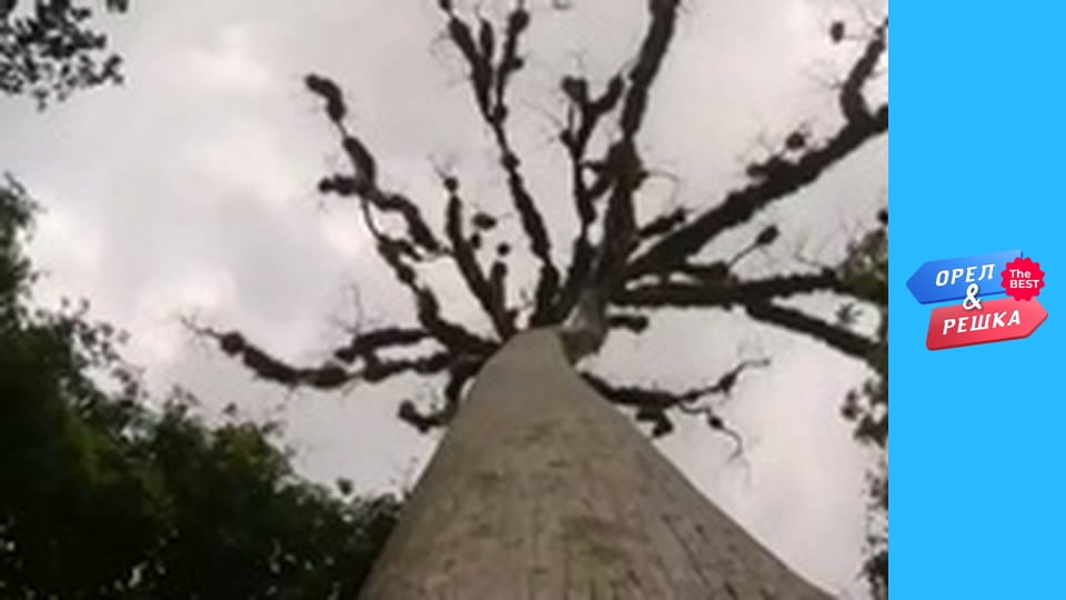 100 Dollars, Issue 125