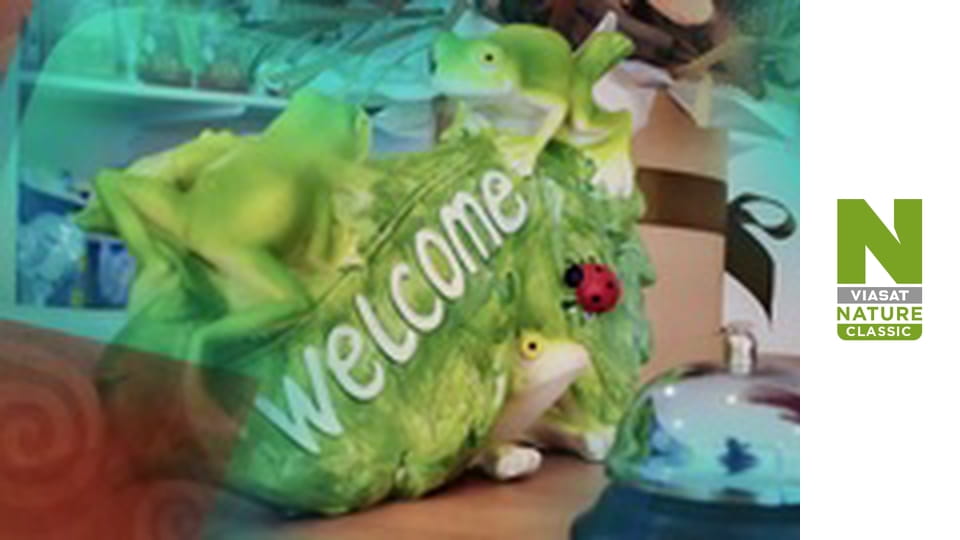 Клиника странных животных - Серия 3