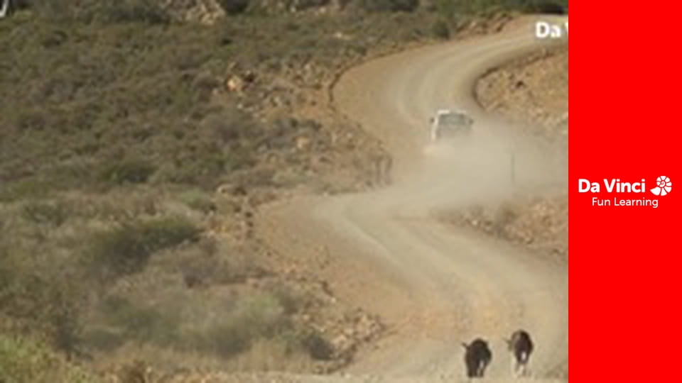 Сіяя - Найдикіший мис - Західний берег - до Пташиного острова