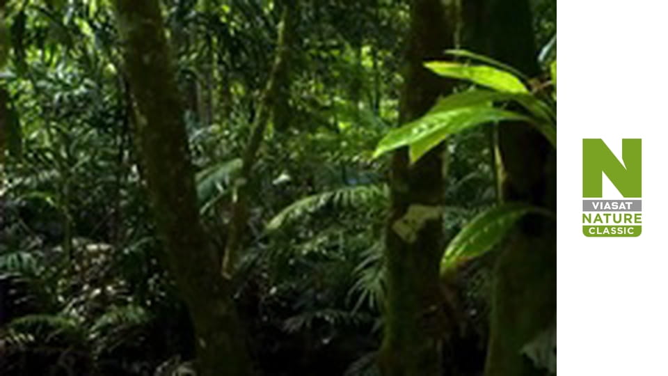 Wildest Latin America - Patagonia