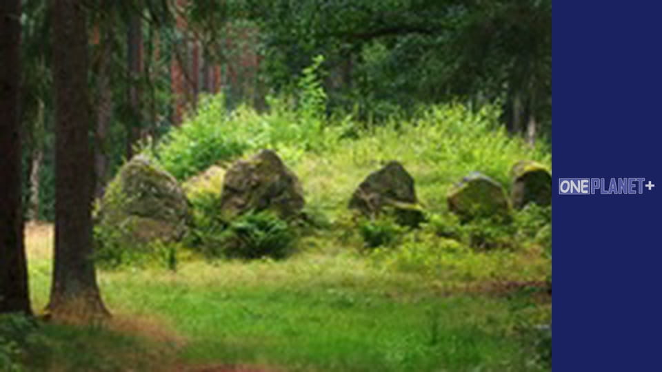 Подорож у Минуле, Випуск 4