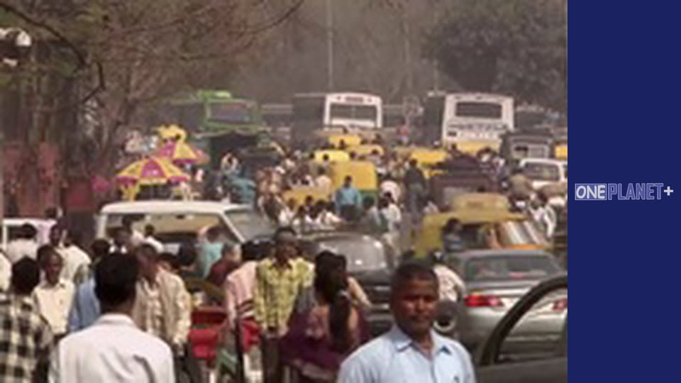 Исламский Дизайн Сада - cерия 2