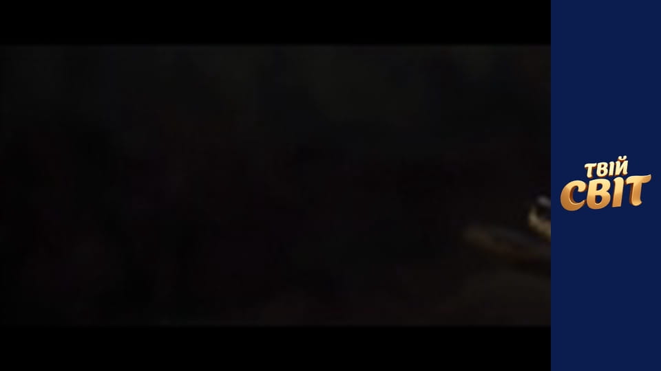 Миша Сезон 1 Епізод 1