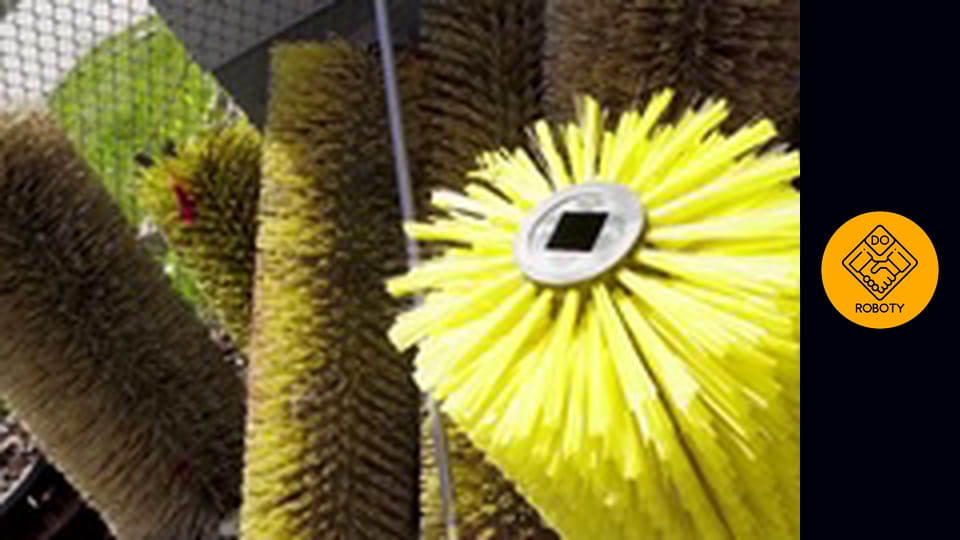 ILE MOŻNA ZAROBIĆ ZAMIATAJĄC ULICE?